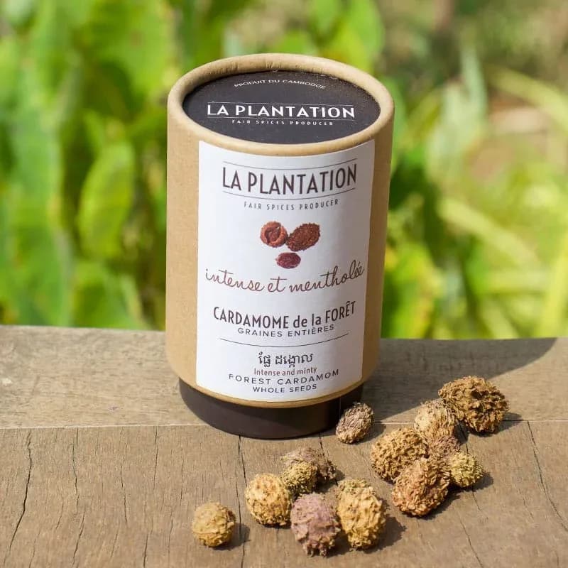 Cardamome de la Forêt Graines Entières
