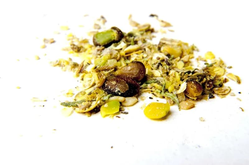 Dukkah à la pistache sauvage