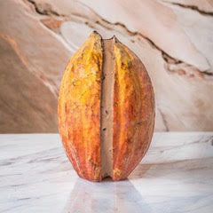 Sorbet cacao